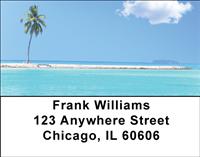 Island Palm Trees Address Labels