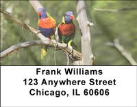 Parrot Couples Address Labels