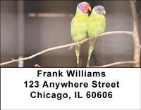 Parrot Couples Address Labels