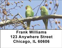 Parrot Couples Address Labels