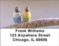 Parrot Couples Address Labels