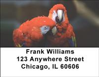 Parrots In Love Address Labels