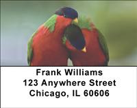 Parrots In Love Address Labels