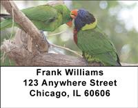 Parrots In Love Address Labels