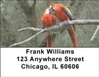 Parrots In Love Address Labels