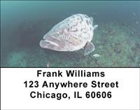 Potato Bass Address Labels