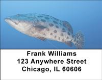 Potato Bass Address Labels