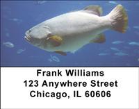 Grouper Address Labels