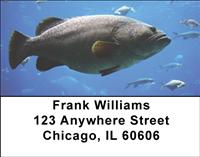 Grouper Address Labels