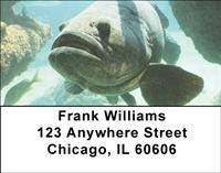 Grouper Address Labels