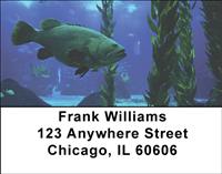 Grouper Address Labels