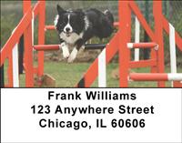 Agile Border Collies Address Labels