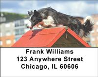 Agile Border Collies Address Labels