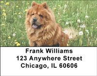 Chow Chow On The Grass Address Labels