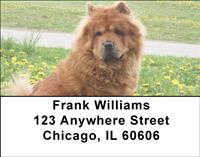 Chow Chow On The Grass Address Labels