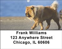 Chow Chow On The Move Address Labels