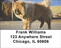 Chow Chow On The Move Address Labels