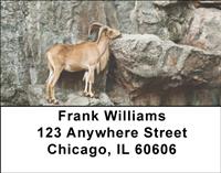 Mountain Goats Address Labels