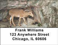 Mountain Goats Address Labels