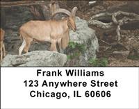 Mountain Goats Address Labels
