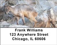 Mountain Goats Address Labels