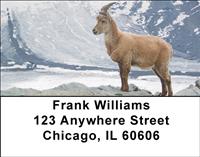Goats In The Snow Address Labels