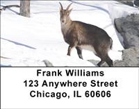 Goats In The Snow Address Labels