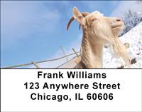 Goats In The Snow Address Labels