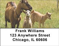 Mother Goat And Kids Address Labels