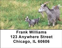 Mother Goat And Kids Address Labels