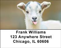 Kid Goats Address Labels