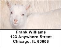 Kid Goats Address Labels