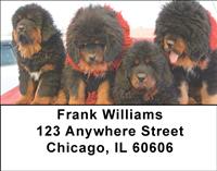 Tibetan Mastiff Address Labels