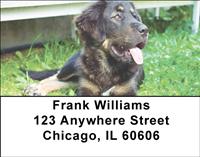 Tibetan Mastiff Address Labels