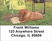 French Mastiff Address Labels