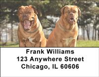French Mastiff Address Labels