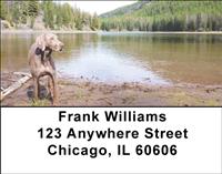 Weimaraner At The Lake Address Labels