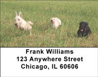 Cute Scotties Address Labels