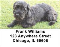 Cute Scotties Address Labels