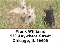 Cute Scotties Address Labels
