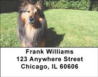 Happy Sheltie Address Labels