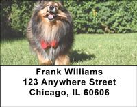 Happy Sheltie Address Labels