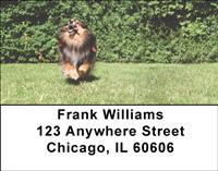 Happy Sheltie Address Labels