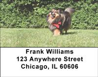 Happy Sheltie Address Labels