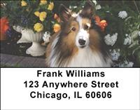 Lovely Shelties Address Labels