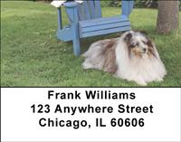 Lovely Shelties Address Labels