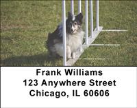 Agile Shelties Address Labels