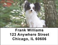 Posing Papillons Address Labels