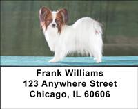 Posing Papillons Address Labels