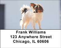 Posing Papillons Address Labels